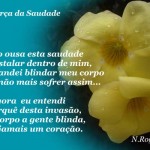 Saudade...